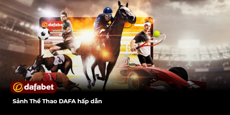 Sảnh Thể Thao DAFA hấp dẫn